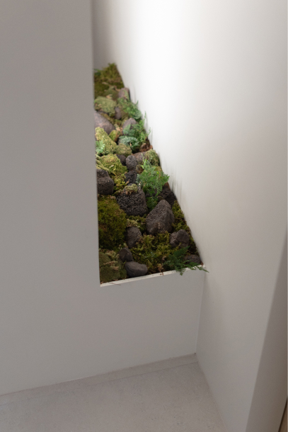 Antioxidant IV Fluid